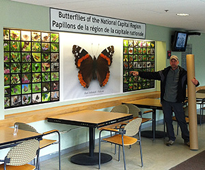 Butterfly Wall at Carleton with Rick Cavasin -
                    Oct. 2012